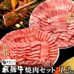 東 贅沢 飛騨牛 焼肉セット 6人前