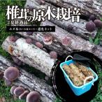 椎茸の原木栽培2夏経過品 0051-001