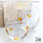 グラスセット 木曽川のきらめき 0008-004