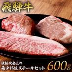 鉄板焼金三の希少部位ステーキセット 飛騨牛のヒレステーキ