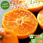 みかん 定期便 4回 10kg