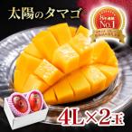 完熟マンゴー 太陽のタマゴ4L×2玉
