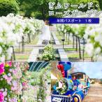 ぎふワールド ローズガーデン 年間パスポート 1枚