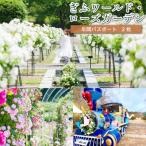 ぎふワールド ローズガーデン 入園券 2枚