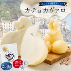 がんばれ中日ドラゴンズ カチョカヴァロ1個