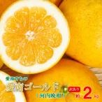 訳あり 愛南ゴールド 2kg