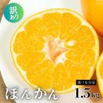 ふるさと納税 愛南町 訳あり ポンカン ぽんかん 1.5kg 傷 不揃い 柑橘 みかん ミカン 愛南町 青果市場