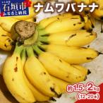 石垣島産 ナムワバナナ約1.5-2kg