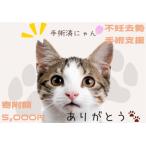 自治体にお任せ K011 飼い主のいない猫の不妊去勢手術支援~…
