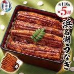 a30-308 浜名湖うなぎ蒲焼5尾