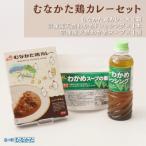 むなかた鶏カレー 定番メニューセット_HA1839