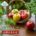 旬のりんご 品種おまかせ 約2.5kg