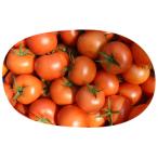 fu.... налог .. город .. город производство . удача ... [ подвеска tenabru помидор ]4kg