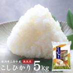 ショッピングふるさと納税 無洗米 ふるさと納税 三条市 無洗米 コシヒカリ 5kg 新潟県三条市産 令和7年産 [外山敏雄商店]【017S152】