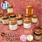 はちみつ2本と手作りジャム12本セット