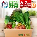 ジモベジ 野菜 ハーフセット a08-007d