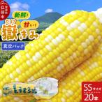 嶽きみ真空パック SSサイズ 20本