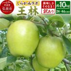 りんご サンふじ 約10kg