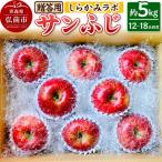 りんご サンふじ 約5kg