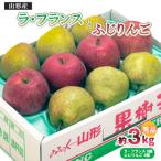ふじりんご ラ フランス 詰合せ 3kg