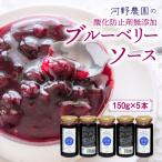河野農園の酸化防止剤無添加ブルーベリーソース150g×5本_14…