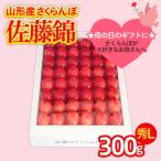 ふるさと納税 山形市 ★母の日★さくらんぼ 佐藤錦 Lサイズ 300g 手詰 【令和8年産先行予約】FS25-551