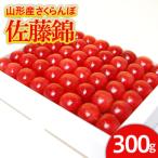 fu.... налог Yamagata город house вишня Sato .300g зеркало .L размер и больше [. мир 8 год производство предшествующий предварительный заказ ]FS24-545