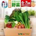 a30-312 ジモベジ 野菜 ハーフセット