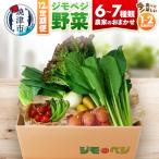 a90-009 ジモベジ 野菜 ハーフセット