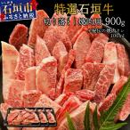 切り落とし焼肉用300g×3パック&石垣牛