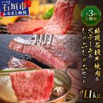 全3回合計1.1kg