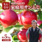 サンふじ約5kg 18玉前後
