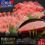 全3回合計1.1kg 上赤身焼肉用とステーキ