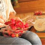 fu.... налог сверху гора город Yamagata Cherry Land. вишня ( Sato .)200g×2 упаковка . для бытового использования 0075-2601