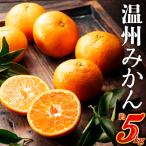 AA139. 北原早生みかん 5kg程度
