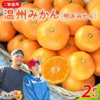 果物 くだものフルーツ 蜜柑 みかん ミカン