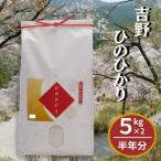 吉野ひのひかり10kg×半年分