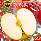 りんご サンふじ 約3kg