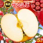 りんご 品種おまかせ 約5kg