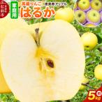 りんご はるか 約5kg