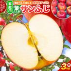 りんご 葉とらずサンふじ 約3kg