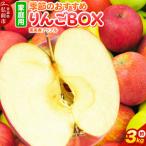 りんご 季節のBOX 約3kg 詰め合わせ
