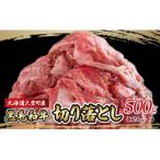 黒毛和牛 芝桜和牛 切り落とし 500g