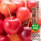 さくらんぼ 佐藤錦”希少な大粒” 2L