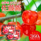 fu.... налог Yamagata город вишня специальный отбор Sato .L 360g(180g×) [. мир 8 год производство предшествующий предварительный заказ ]FS25-503