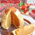 アップルパイ 気になるリンゴ 3個入