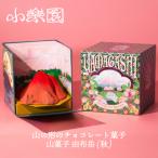 山菓子 由布岳 秋