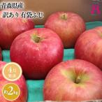 3月 発送 サンふじ約2kg