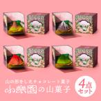 山菓子4点セット