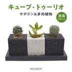 S060-122_キューブ トゥーリオ